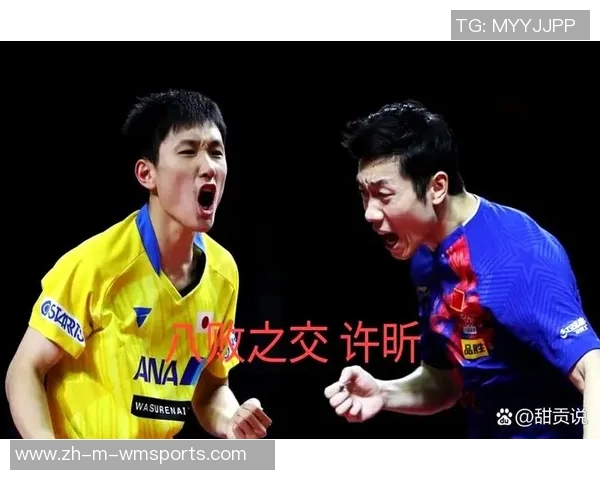 张本智和与许昕激战乒乓球赛场谁能笑到最后的精彩对决分析